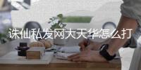 诛仙私发网大天华怎么打架